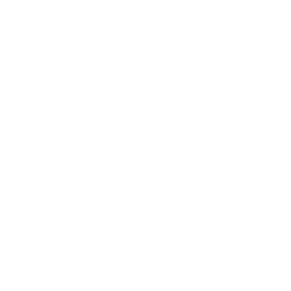 Archiv Icon